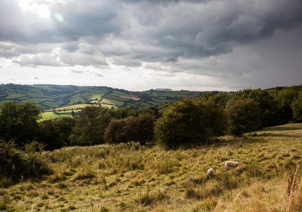 The health benefits of being outdoors