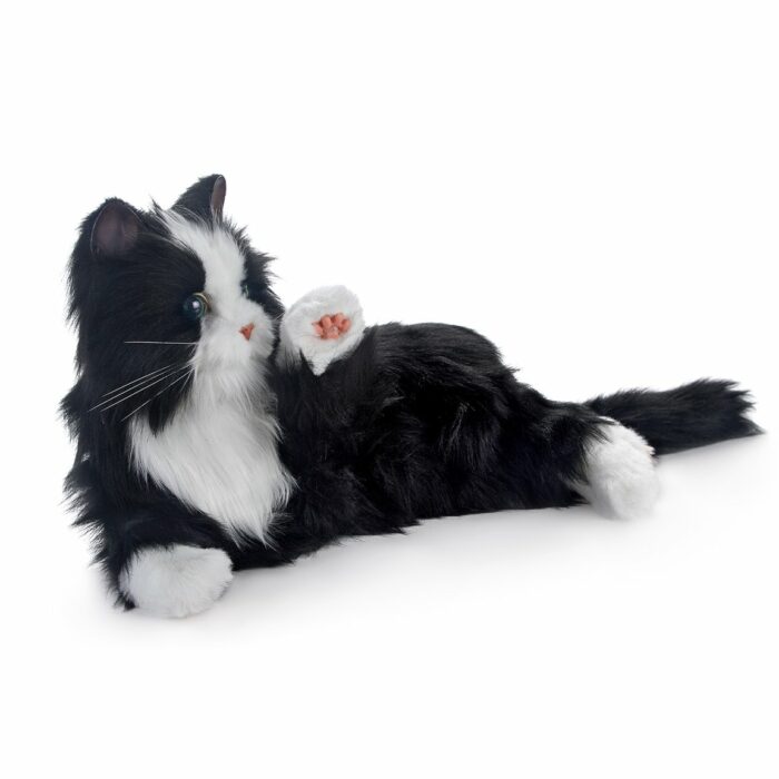 Black and White Cat - Robotic companion - Image 2