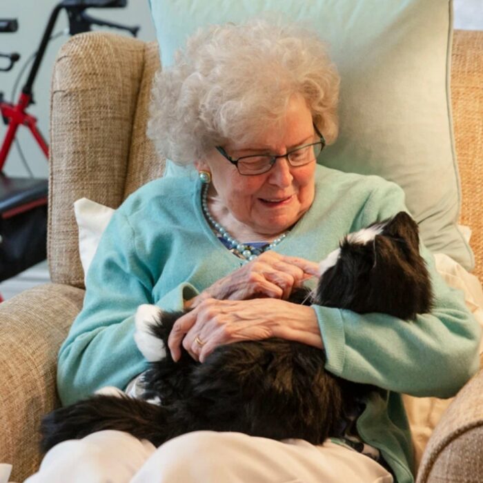 Black and White Cat - Robotic companion - Image 4