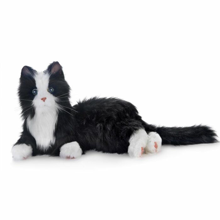 Black and White Cat - Robotic companion