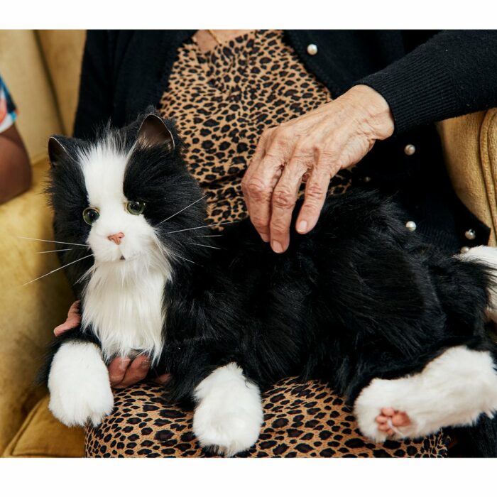 Black and White Cat - Robotic companion - Image 3