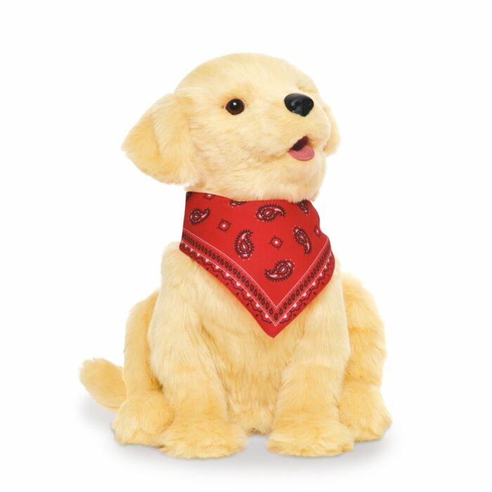 Golden pup companion pet