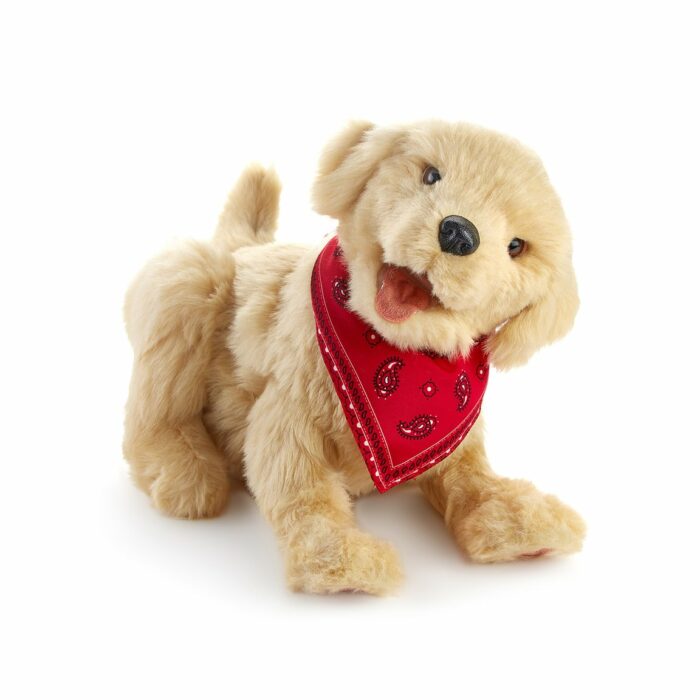 Golden pup companion pet - Image 2