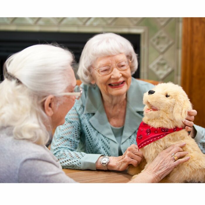 Golden pup companion pet - Image 3