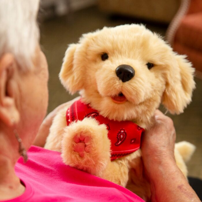 Golden pup companion pet - Image 5