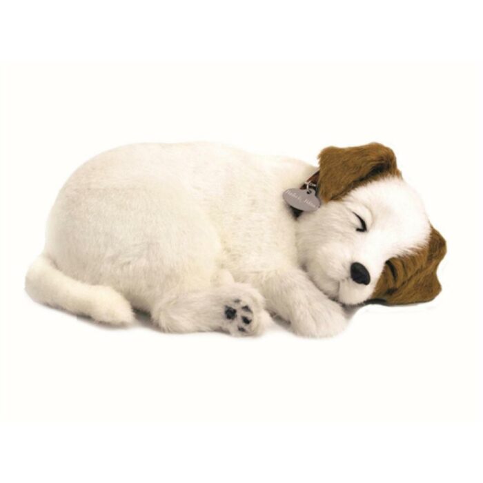 Jack Russell -  Realistic breathing action