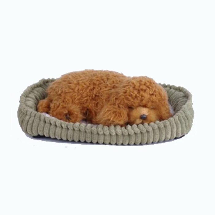 Poodle -  Realistic breathing action